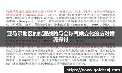 亚马尔地区的能源战略与全球气候变化的应对措施探讨